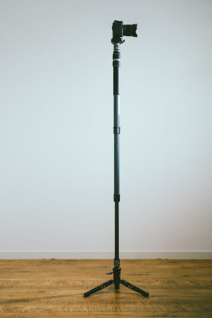 最大高は約155cm